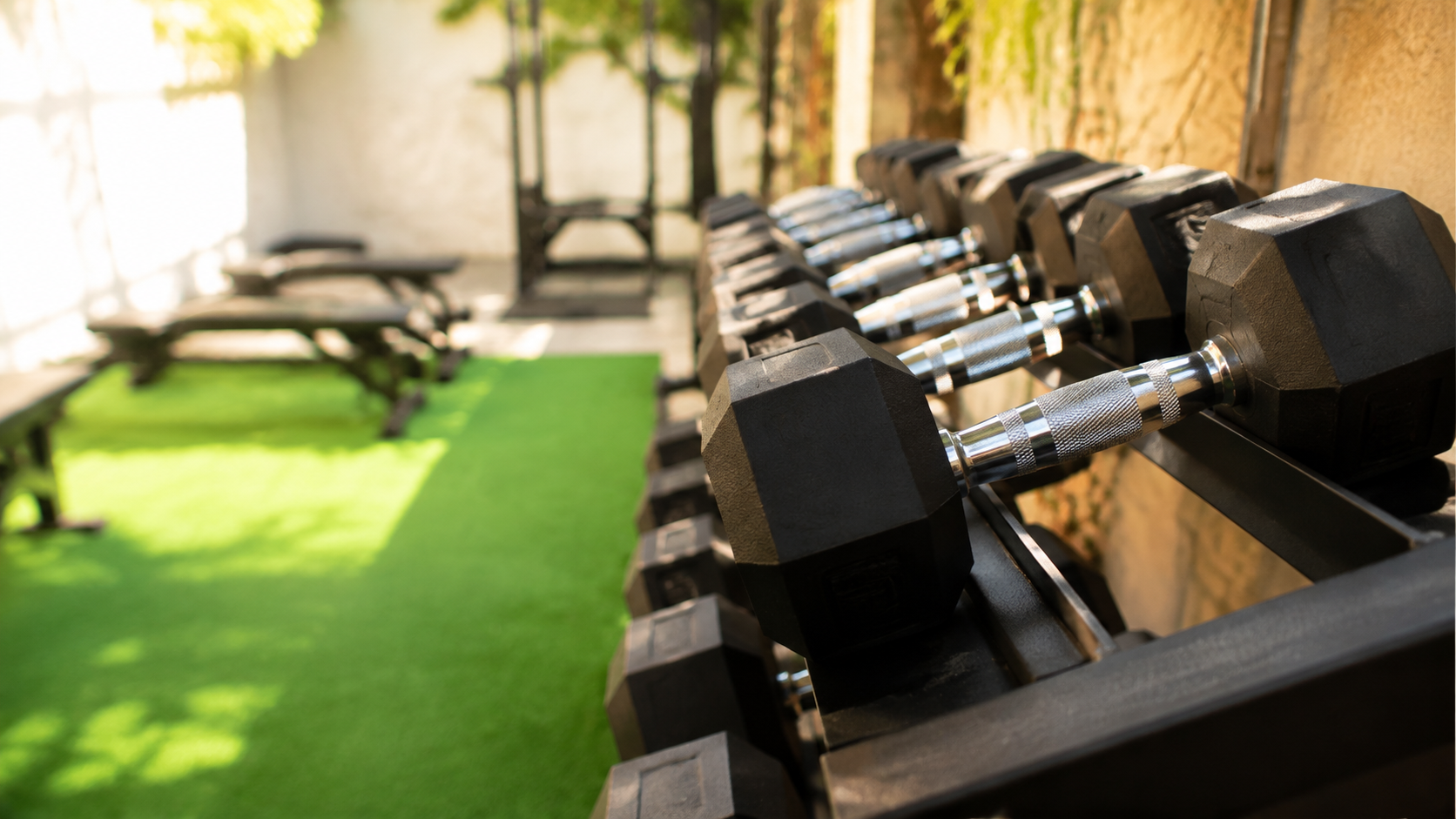 Mancuernas en Libertador Fitness Gym